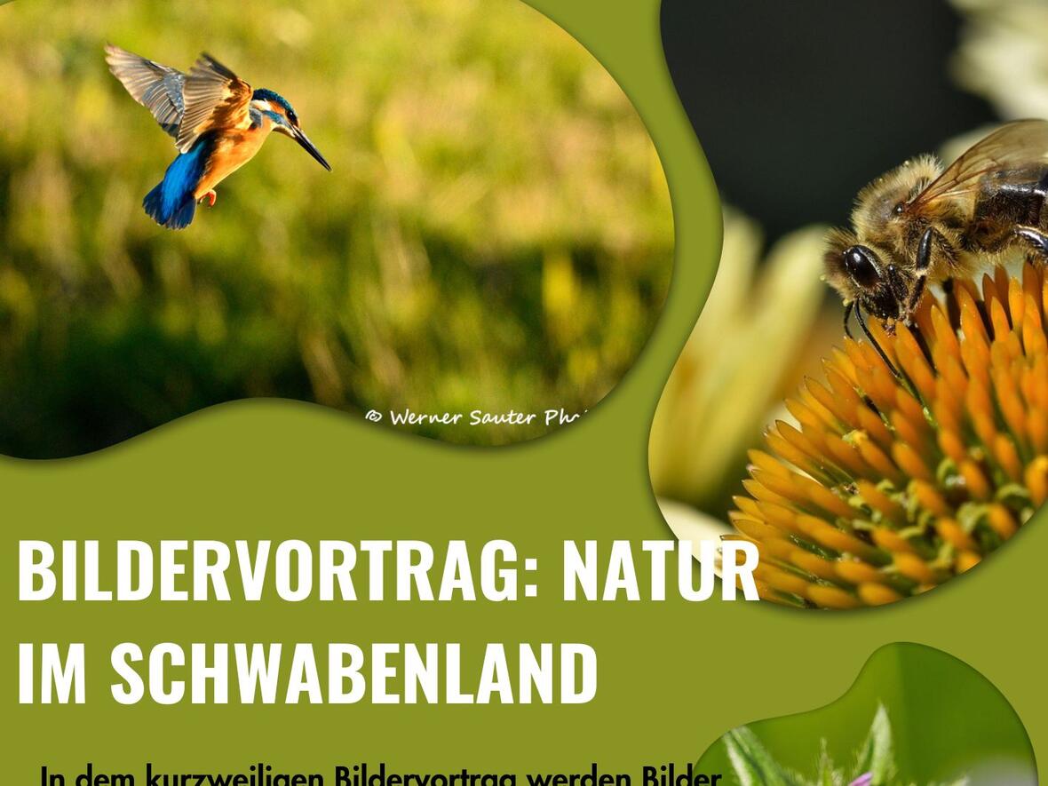 2025-10-08_09-51-40-bildervortragnatur_im_schwabenland_002_senioren_5-11-2025
